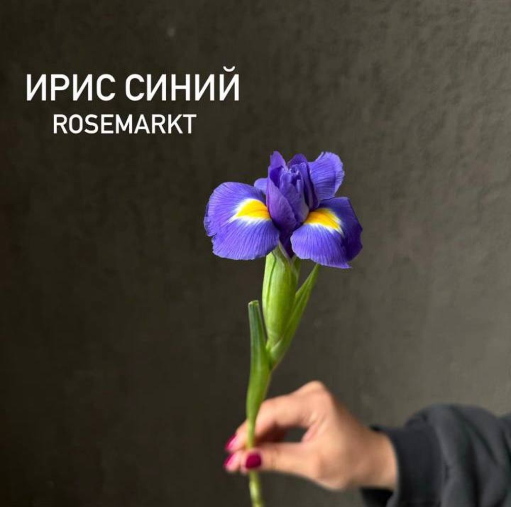 Синие ирисы с доставкой на дом 