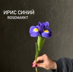 Синие ирисы с доставкой на дом  - Фотография 1