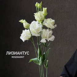 Букет «Лизиантус» Букет «Лизиантус»