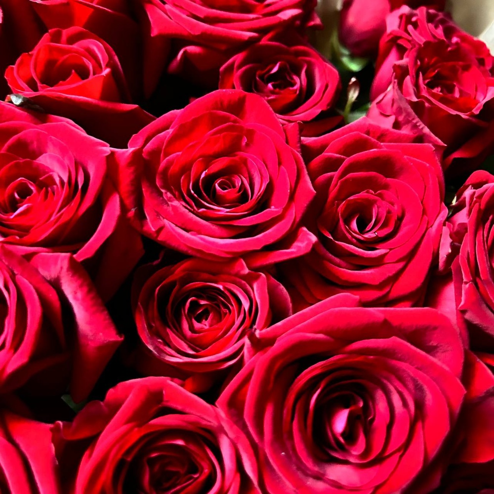 25 алых роз по акции