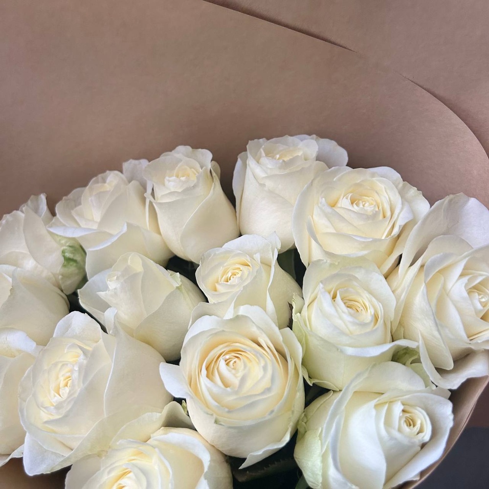 Свежих 15 белых роз в крафте