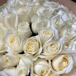 Розы белые недорого: 51 цветок, высота 50 см - Фотография 11