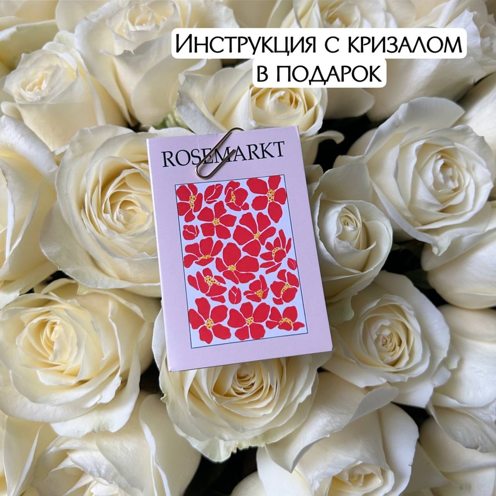 Розы белые недорого: 51 цветок, высота 50 см