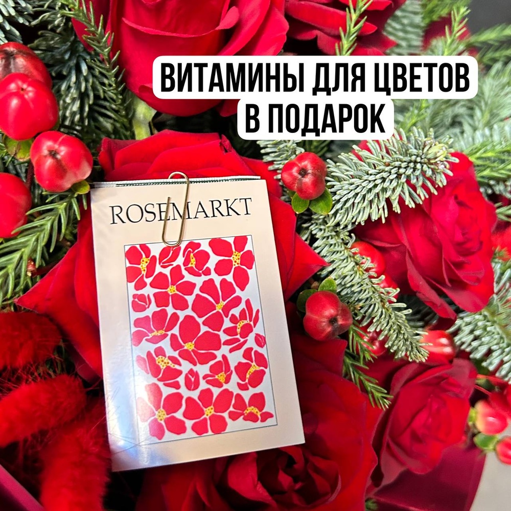 Подарок: 9 красных роз с еловыми ветками + аквабокс с коробкой-переноской