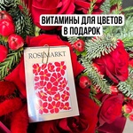 Подарок: 9 красных роз с еловыми ветками + аквабокс с коробкой-переноской - Фотография 4