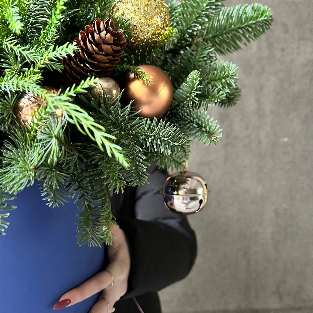 Рождественская история в синих оттенках