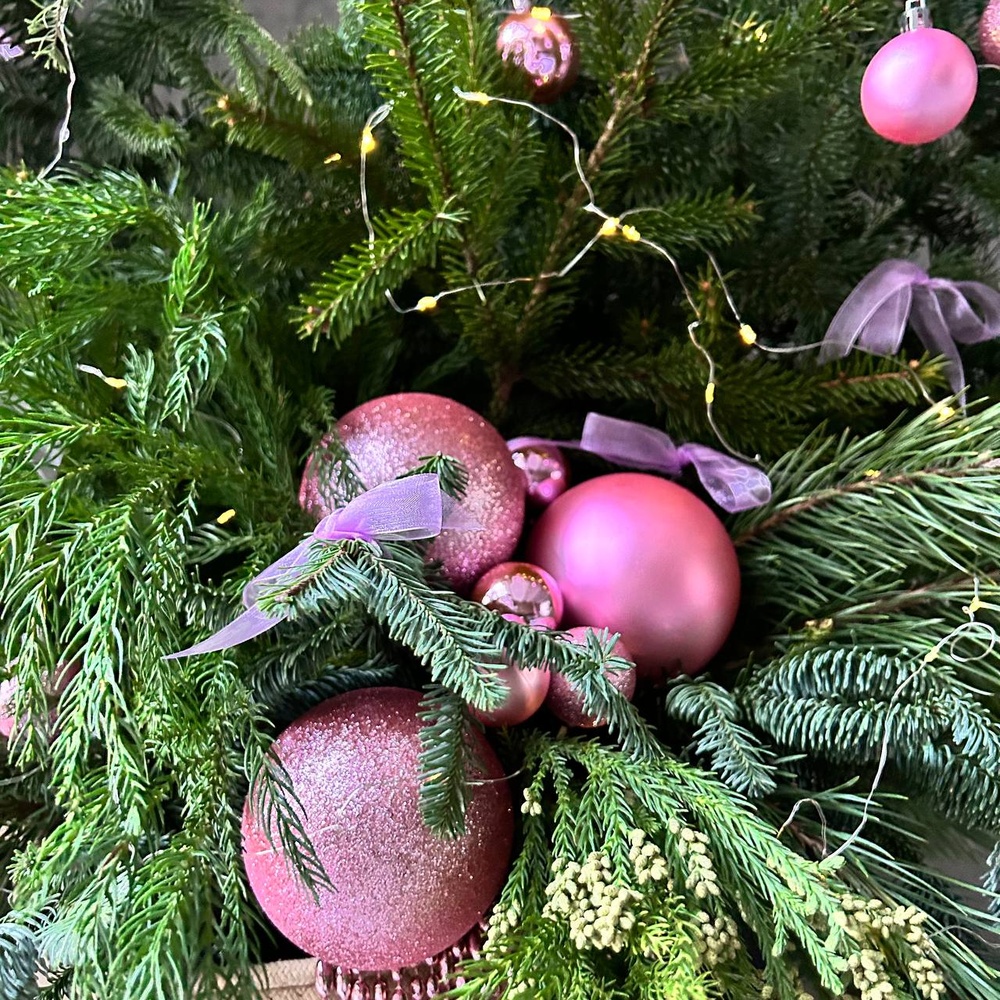 Норвежский лес в розовых цветах