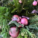 Норвежский лес в розовых цветах - Фотография 3