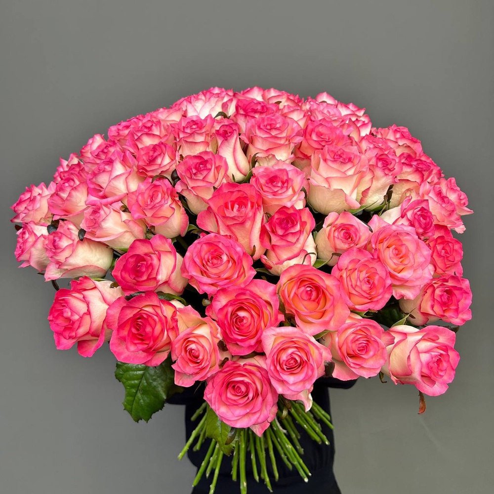 71 розовая роза