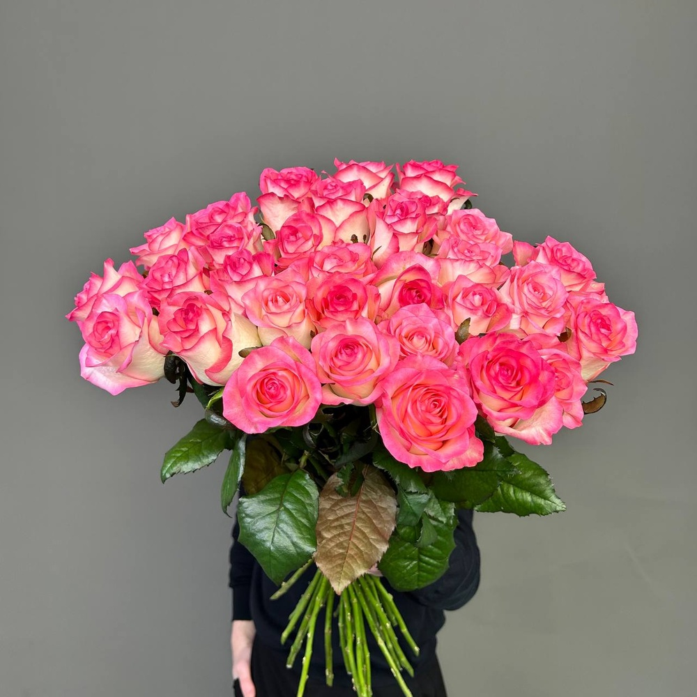 Свежие 31 розовая роза под ленту