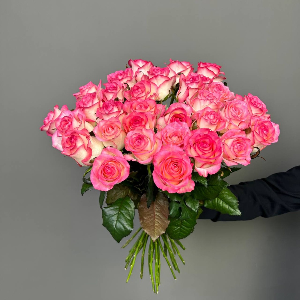 Свежие 31 розовая роза под ленту