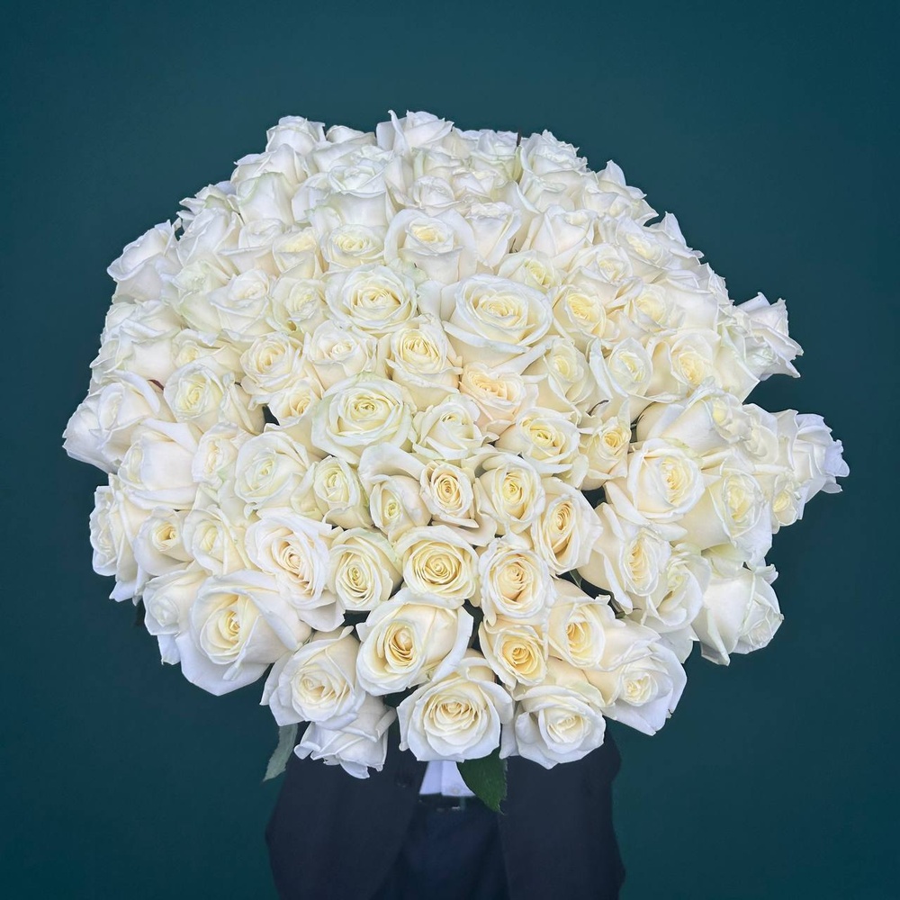 Свежих 101 белых роз под ленту с аквабоксом и коробкой-переноской