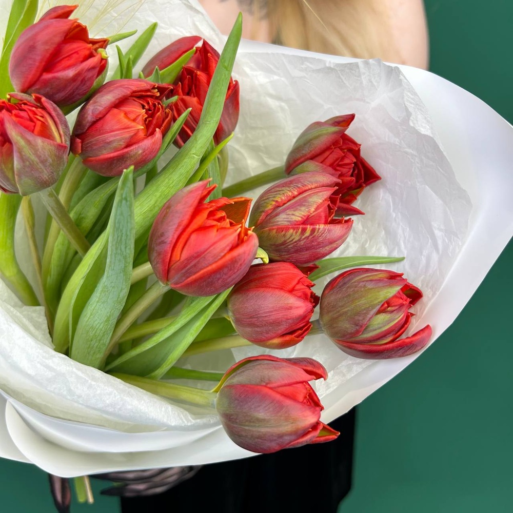 Марсала: 11 красных пионовидных тюльпанов