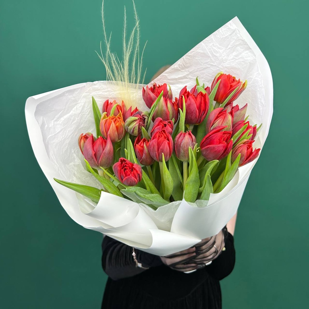Марсала: 25 красных пионовидных тюльпанов + коробка-переноска с аквабоксом