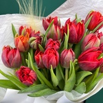 Марсала: 25 красных пионовидных тюльпанов - Фотография 11