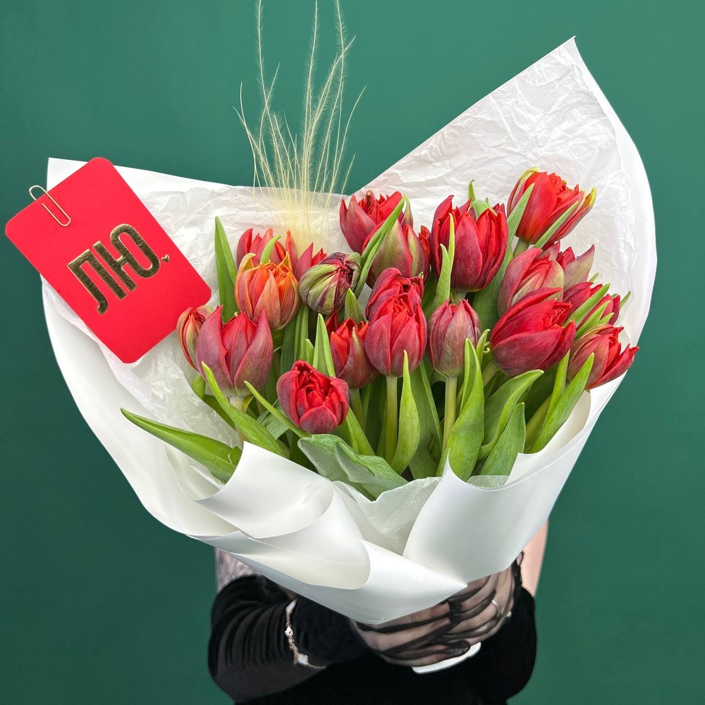 Марсала: 25 красных пионовидных тюльпанов + коробка-переноска с аквабоксом