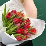 Марсала: 25 красных пионовидных тюльпанов - Фотография 6