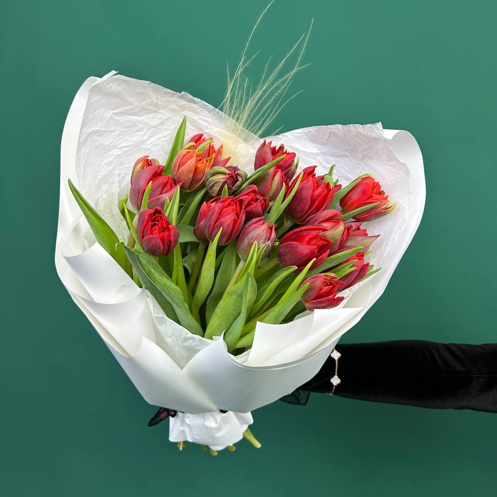 Марсала: 25 красных пионовидных тюльпанов + коробка-переноска с аквабоксом