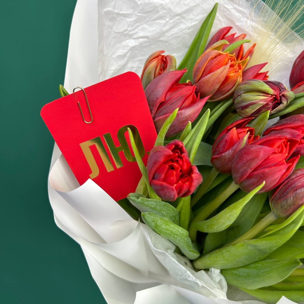 Марсала: 25 красных пионовидных тюльпанов + коробка-переноска с аквабоксом