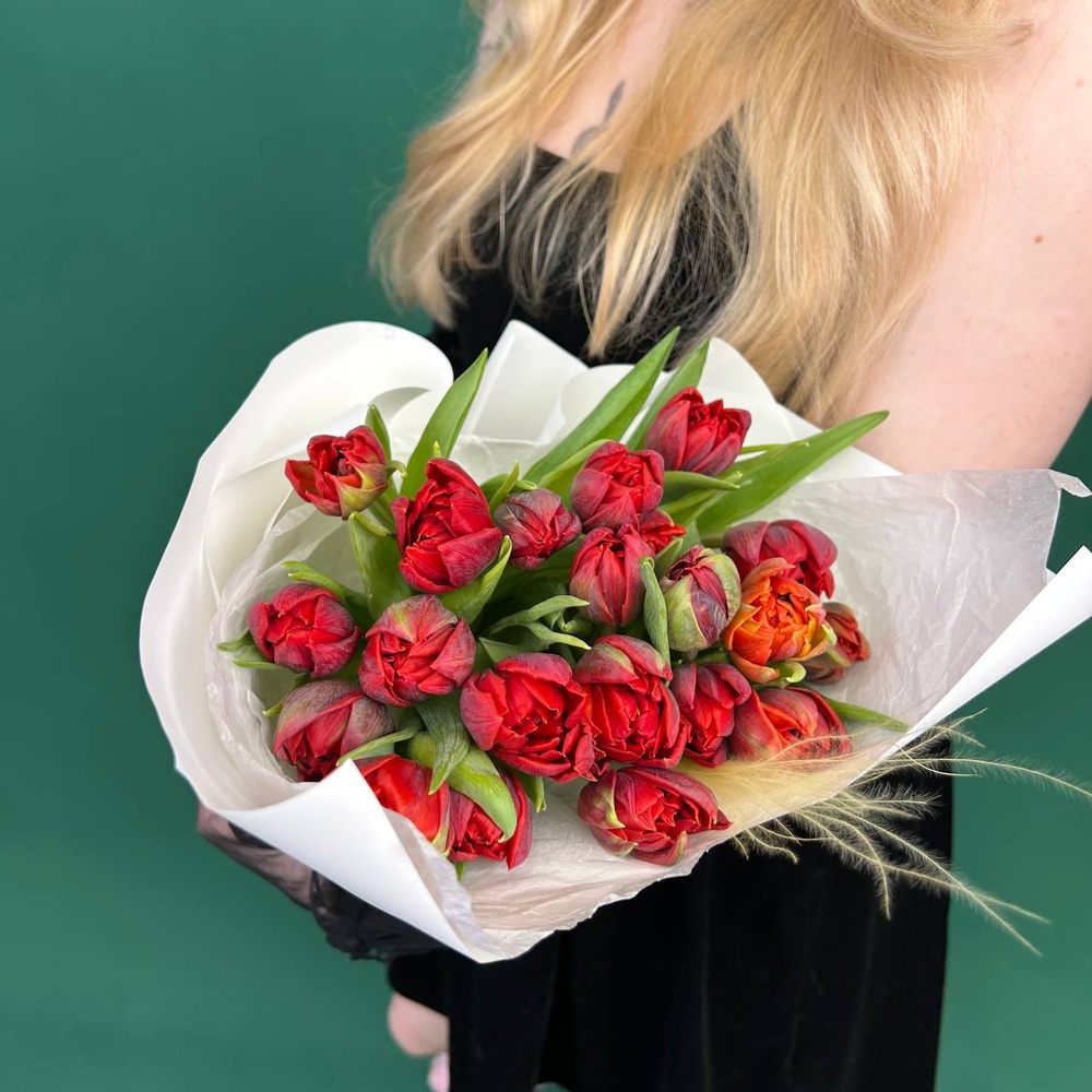 Марсала: 25 красных пионовидных тюльпанов + коробка-переноска с аквабоксом