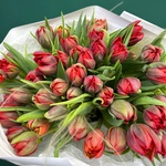 Марсала: 51 красный пионовидный тюльпан - Фотография 4