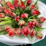 Марсала: 51 красный пионовидный тюльпан - Фотография 6