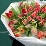 Марсала: 51 красный пионовидный тюльпан - Фотография 8