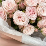 Прыжок в любовь: кустовые розовые розы - Фотография 6