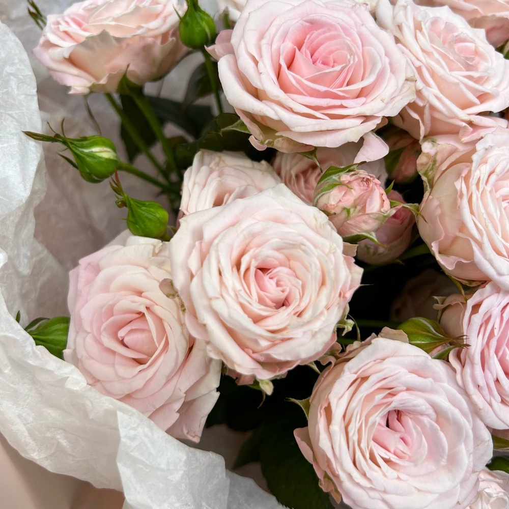 Прыжок в любовь: кустовые розовые розы