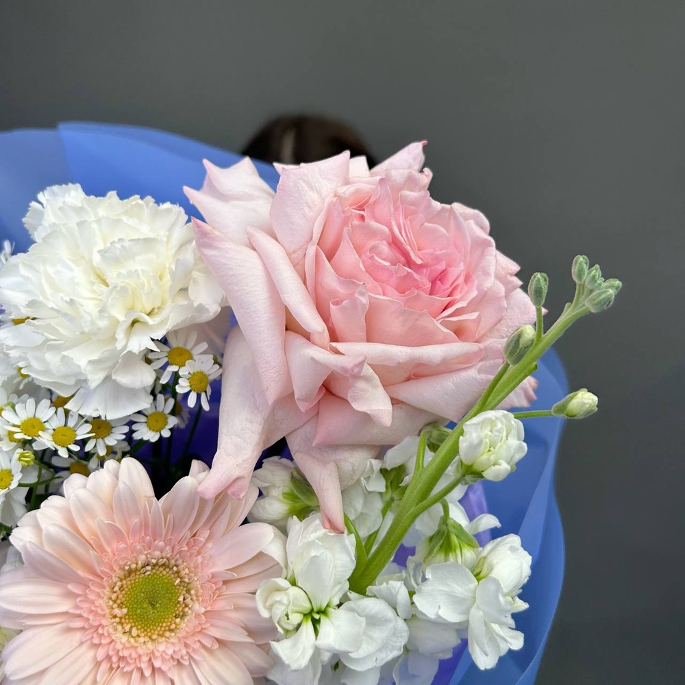 «Нежные касания» с аквабоксом и коробкой-переноской