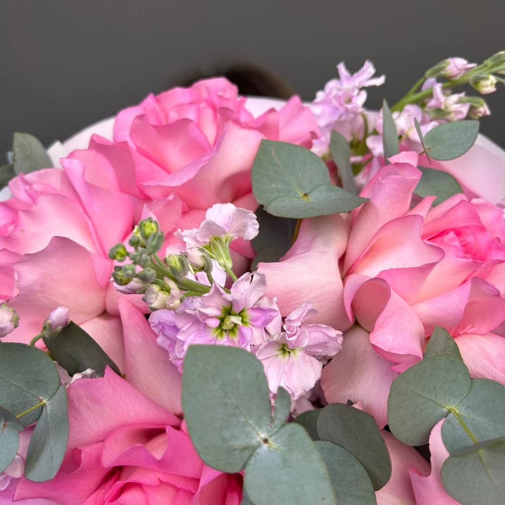 Её нежные поцелуи: французская роза и маттиола + аквабокс и коробка-переноска