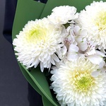 Вайт Грин: стойкие хризантемы и альстромерия  - Фотография 5