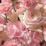 Авторский букет в стильной упаковке с доставкой в Санкт-Петербурге. - Фотография 9