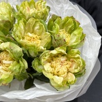 Букет из 7 стойких роз Вегги с доставкой в Санкт- Петербурге - Фотография 3