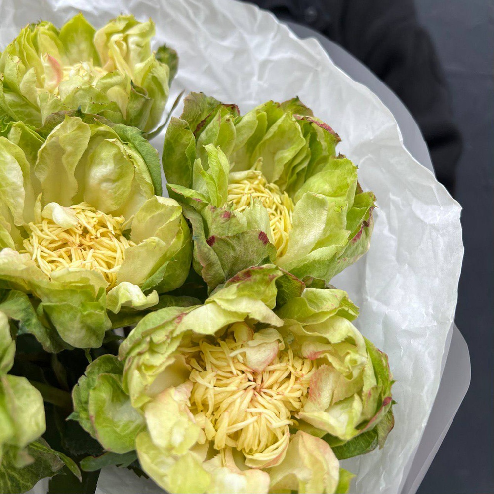 Букет из 7 стойких роз Вегги