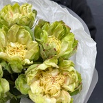 Букет из 7 стойких роз Вегги с доставкой в Санкт- Петербурге - Фотография 4