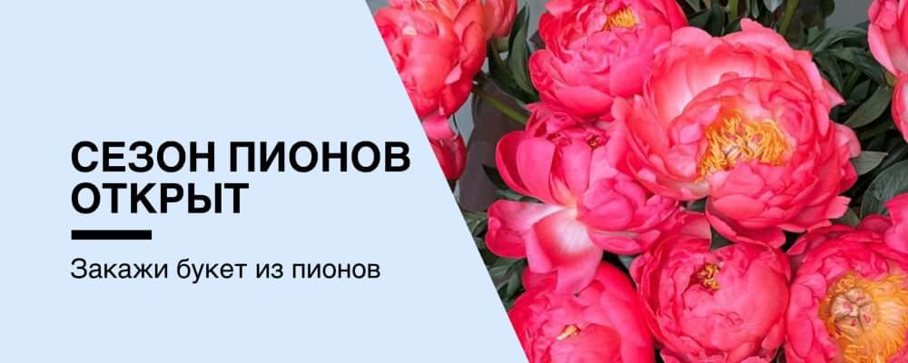 Пионы