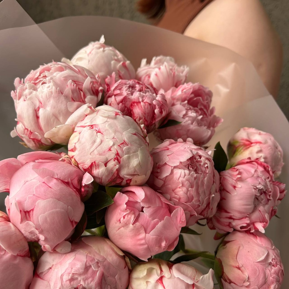 15 розовых пионов в стильной упаковке