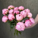 Свежих 15 розовых пионов под ленту  - Фотография 6