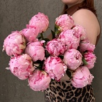 Свежих 15 розовых пионов под ленту  - Фотография 2