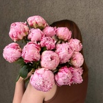 Свежих 15 розовых пионов под ленту  - Фотография 5