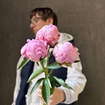 Свежих 3 розовых пиона под ленту  - Фотография 1