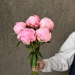 Свежих 5 розовых пионов под ленту  - Фотография 5