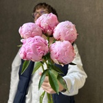 Свежих 5 розовых пионов под ленту  - Фотография 1