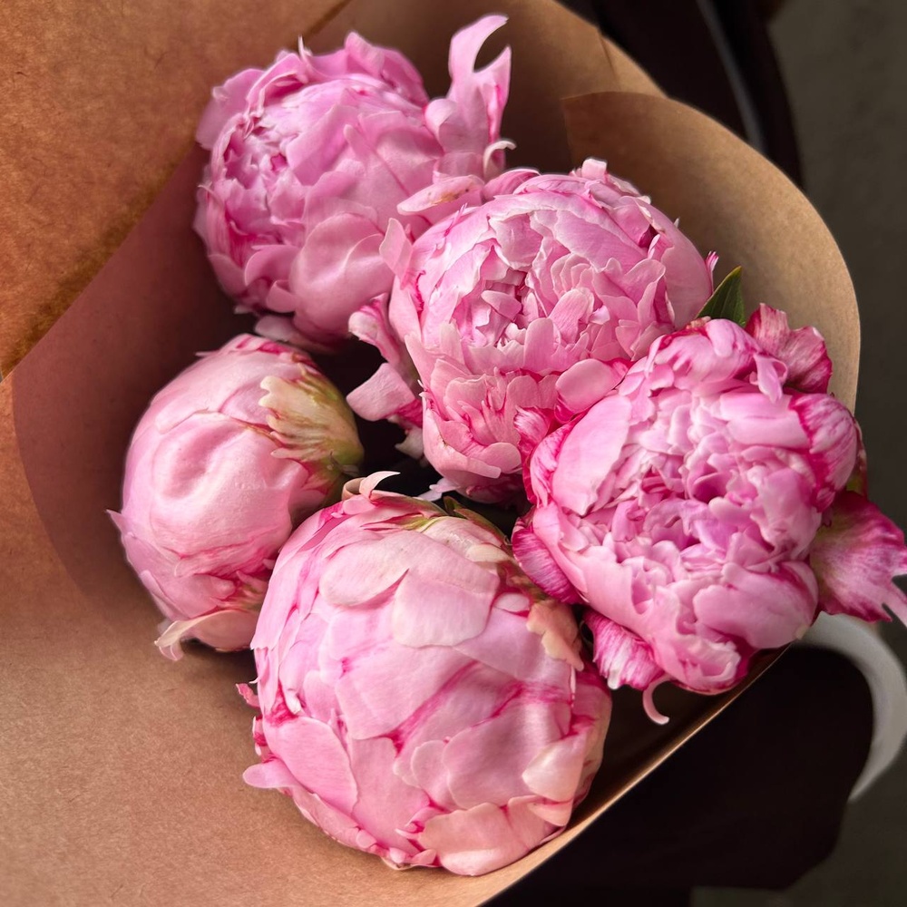 Свежих 5 розовых пионов в крафте