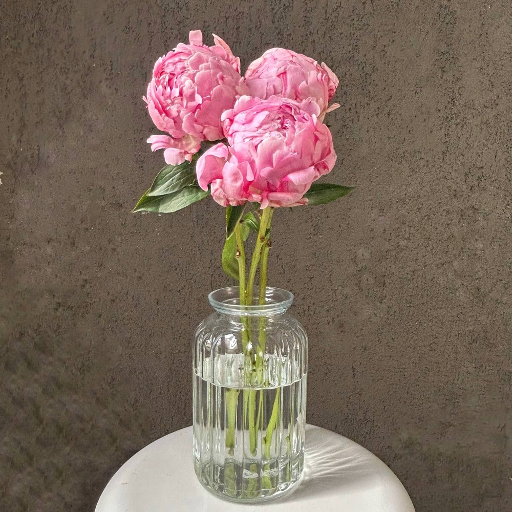 Свежих 3 розовых пиона в крафте