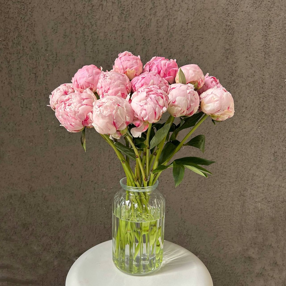 15 розовых пионов в стильной упаковке