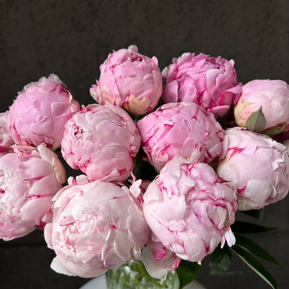 Розовые пионы