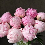 Букет из розовых пионов в Санкт-Петербурге - Фотография 3