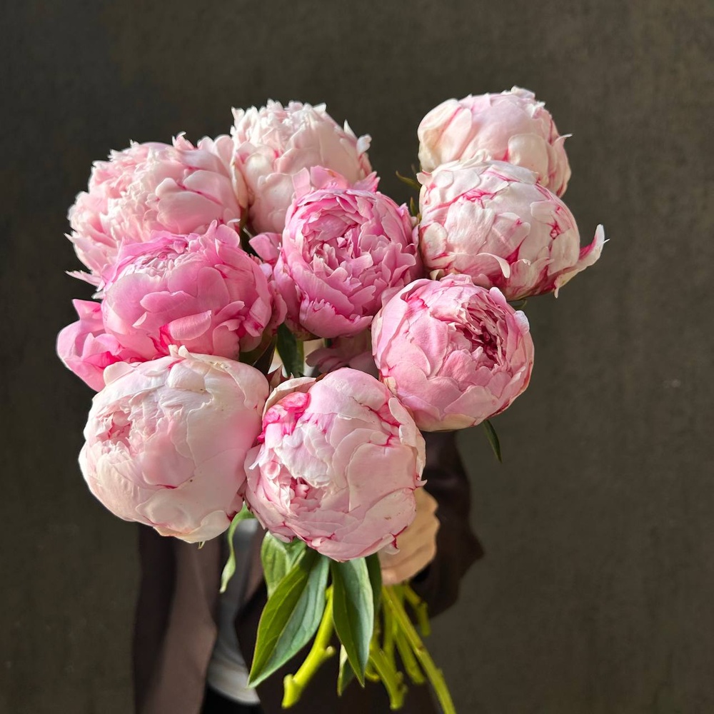 Свежих 9 розовых пионов под ленту 